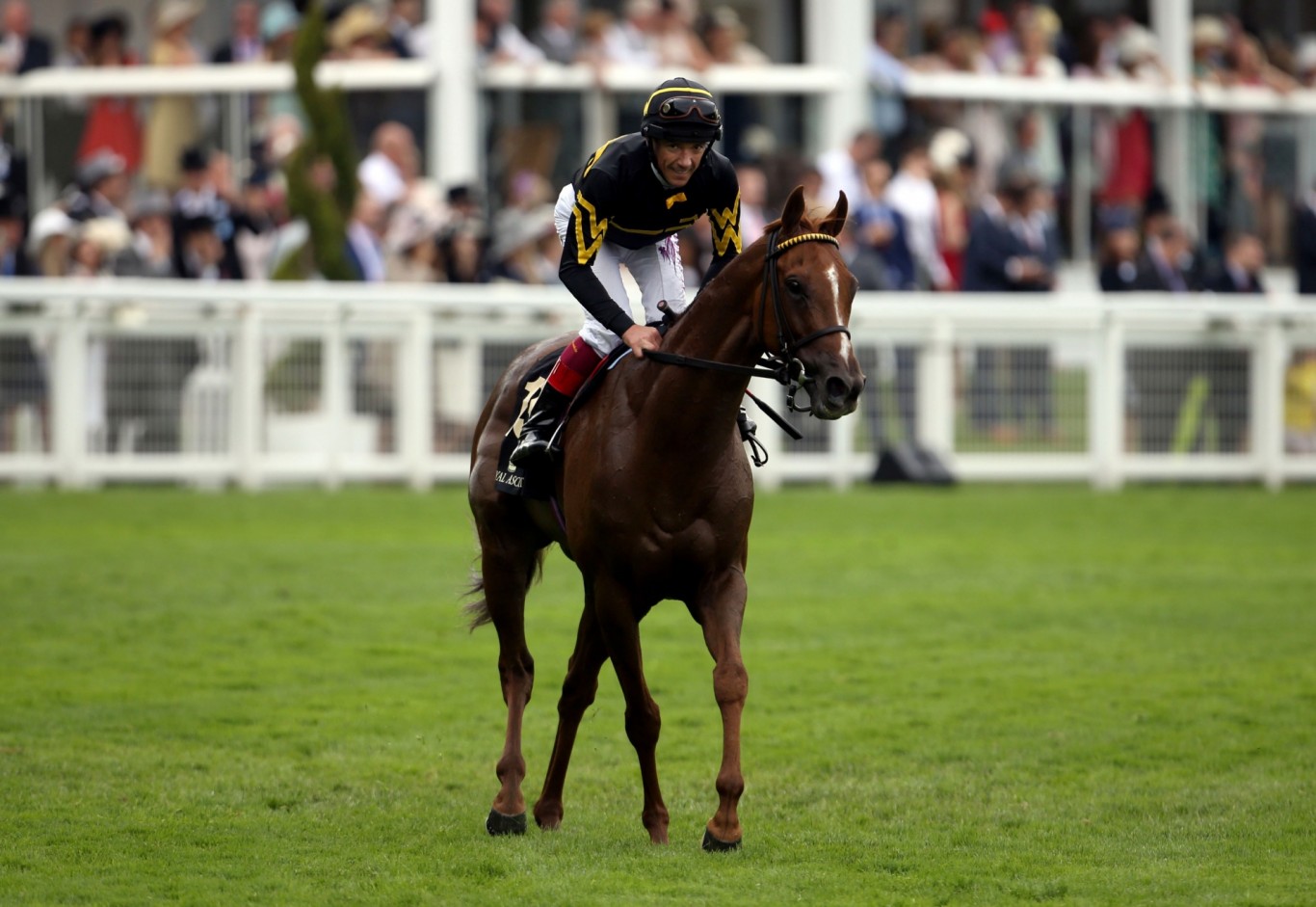 Why was Undrafted a 22/1 winner of the Diamond Jubilee Stakes?